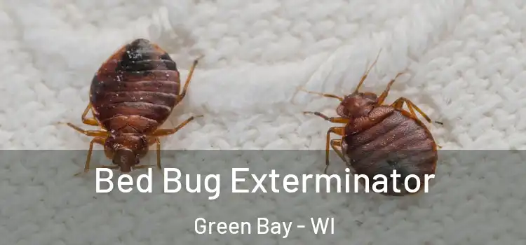  Bed Bug Exterminator Green Bay - WI