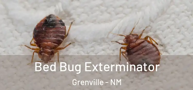  Bed Bug Exterminator Grenville - NM