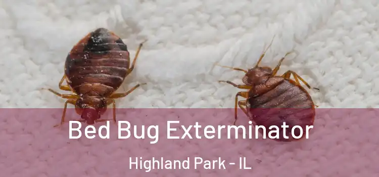 Bed Bug Exterminator Highland Park - IL