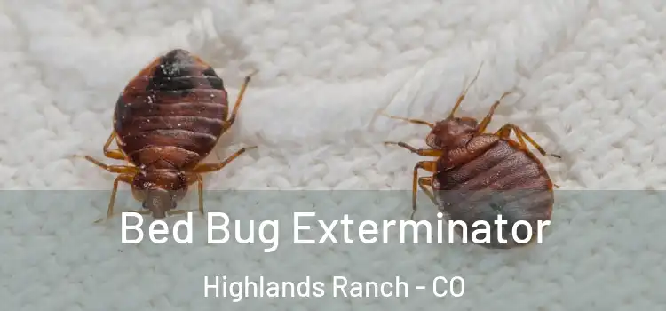  Bed Bug Exterminator Highlands Ranch - CO