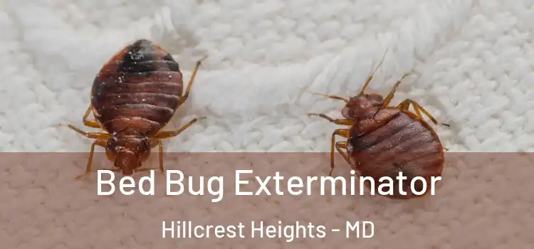  Bed Bug Exterminator Hillcrest Heights - MD
