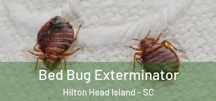 Bed Bug Exterminator Hilton Head Island - SC