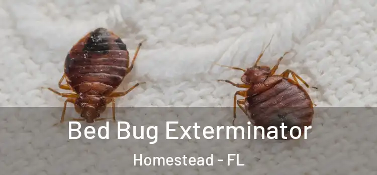 Bed Bug Exterminator Homestead - FL