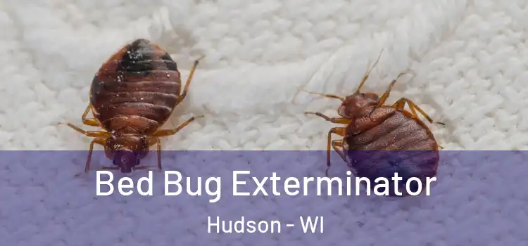  Bed Bug Exterminator Hudson - WI