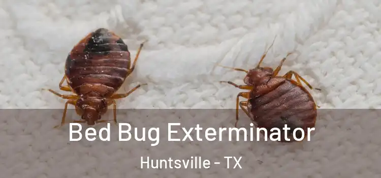  Bed Bug Exterminator Huntsville - TX
