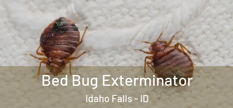  Bed Bug Exterminator Idaho Falls - ID