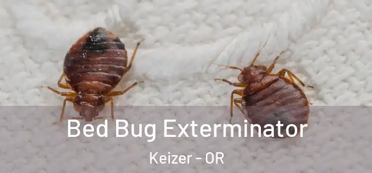  Bed Bug Exterminator Keizer - OR