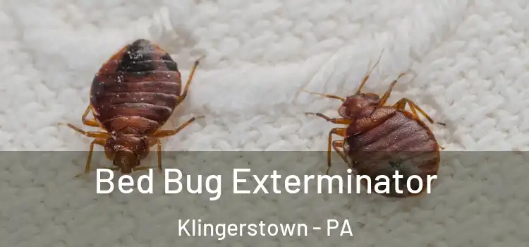 Bed Bug Exterminator Klingerstown - PA