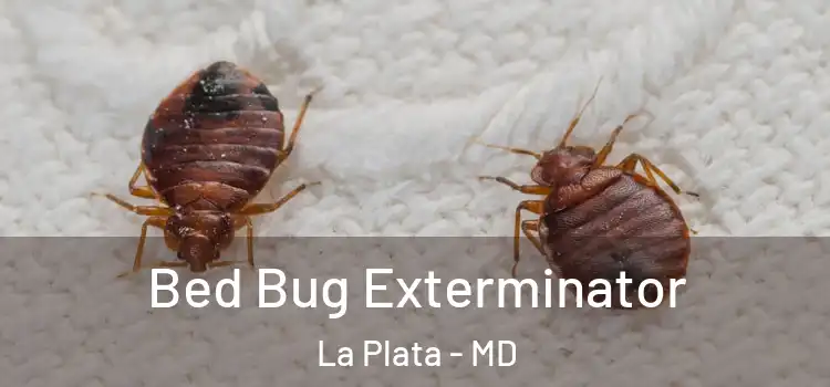  Bed Bug Exterminator La Plata - MD