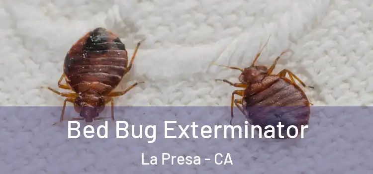Bed Bug Exterminator La Presa - CA