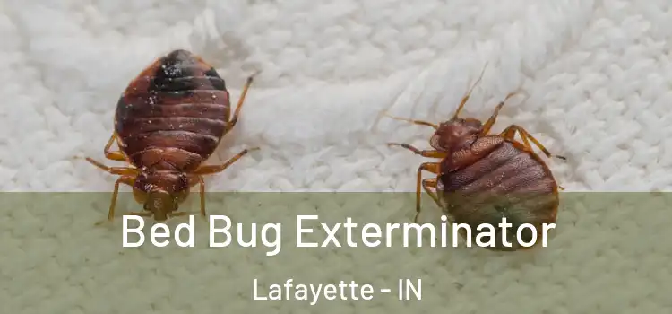  Bed Bug Exterminator Lafayette - IN