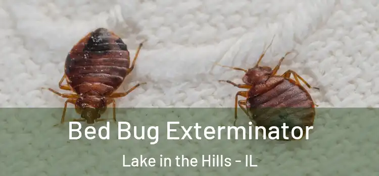  Bed Bug Exterminator Lake in the Hills - IL