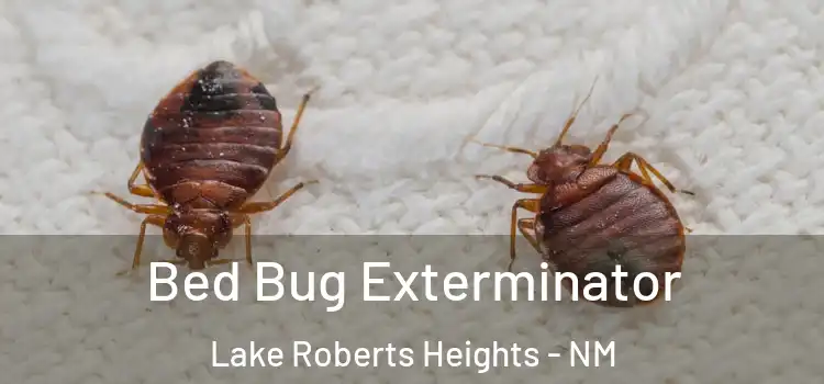 Bed Bug Exterminator Lake Roberts Heights - NM