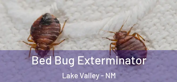  Bed Bug Exterminator Lake Valley - NM