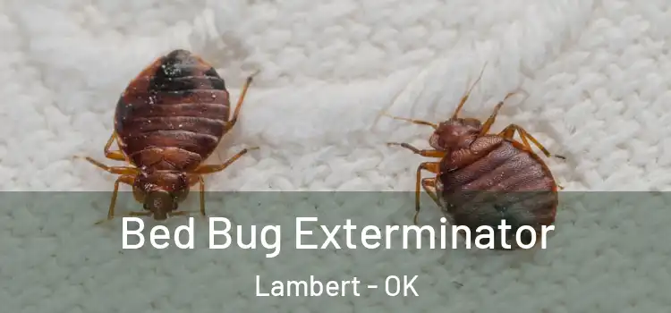  Bed Bug Exterminator Lambert - OK