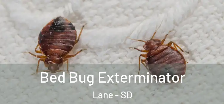  Bed Bug Exterminator Lane - SD