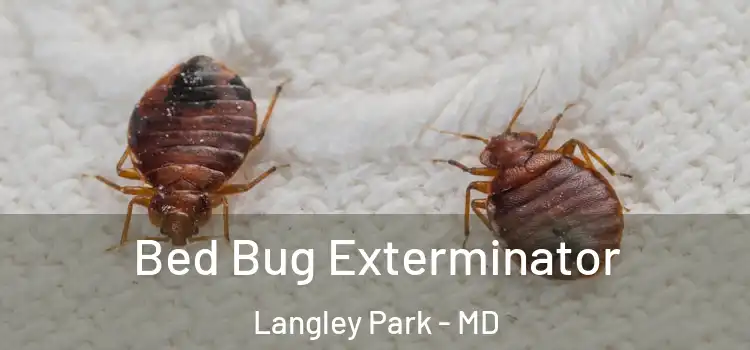  Bed Bug Exterminator Langley Park - MD
