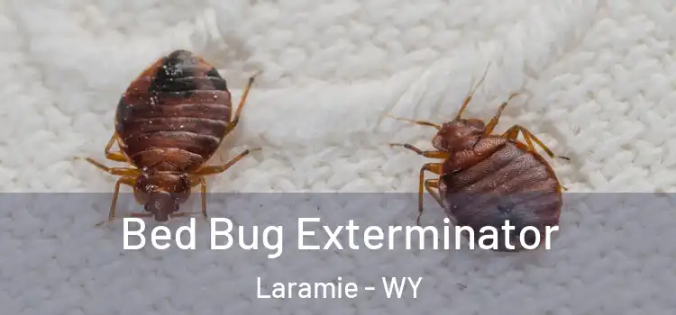 Bed Bug Exterminator Laramie - WY