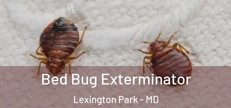  Bed Bug Exterminator Lexington Park - MD