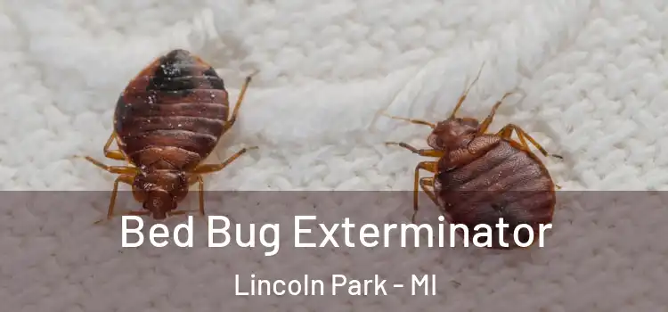  Bed Bug Exterminator Lincoln Park - MI
