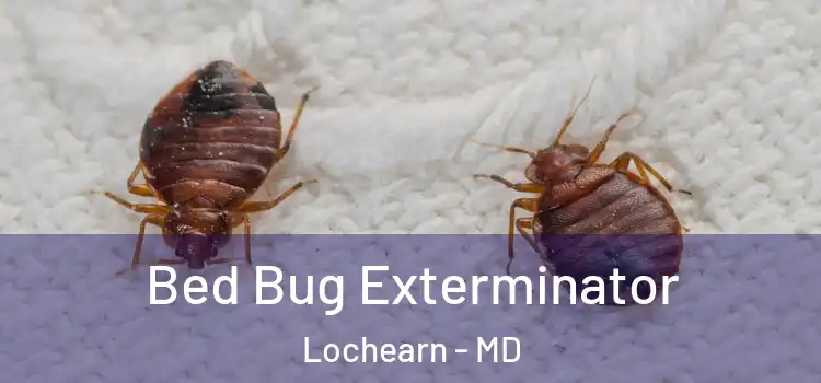  Bed Bug Exterminator Lochearn - MD