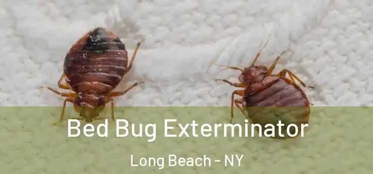 Bed Bug Exterminator Long Beach - NY