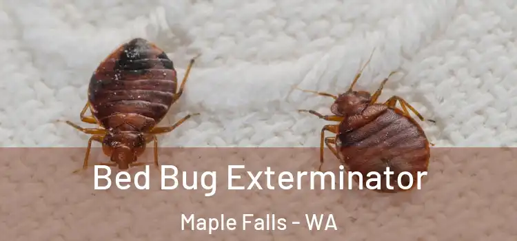  Bed Bug Exterminator Maple Falls - WA