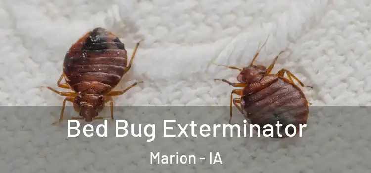 Bed Bug Exterminator Marion - IA