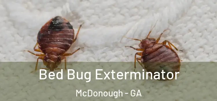  Bed Bug Exterminator McDonough - GA