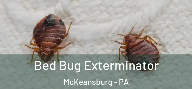  Bed Bug Exterminator McKeansburg - PA