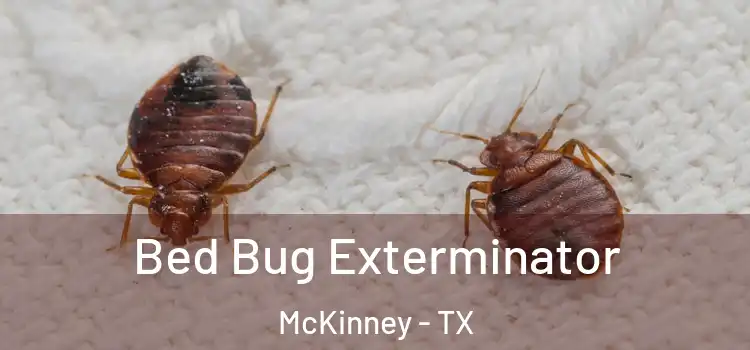  Bed Bug Exterminator McKinney - TX