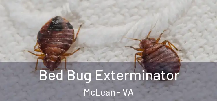  Bed Bug Exterminator McLean - VA
