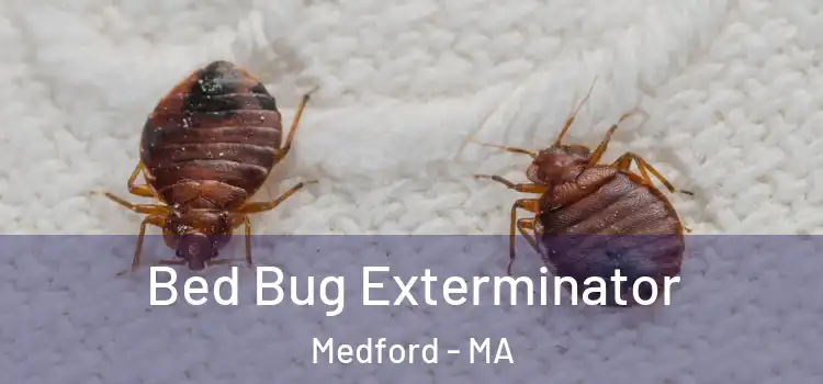  Bed Bug Exterminator Medford - MA