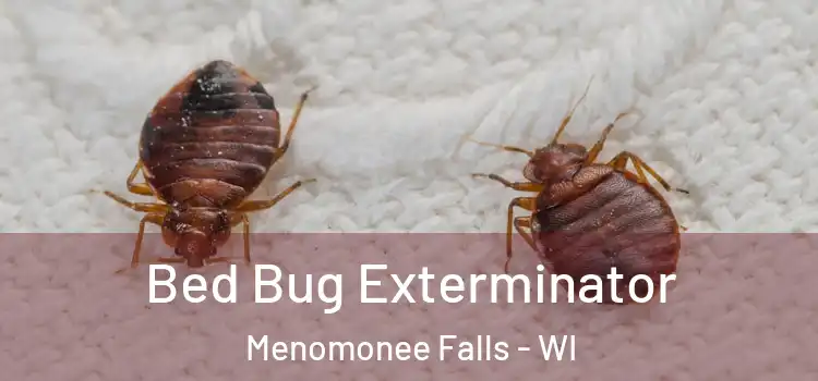  Bed Bug Exterminator Menomonee Falls - WI