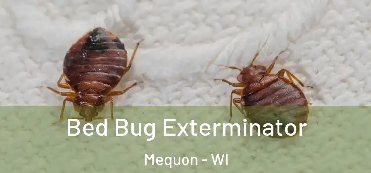  Bed Bug Exterminator Mequon - WI