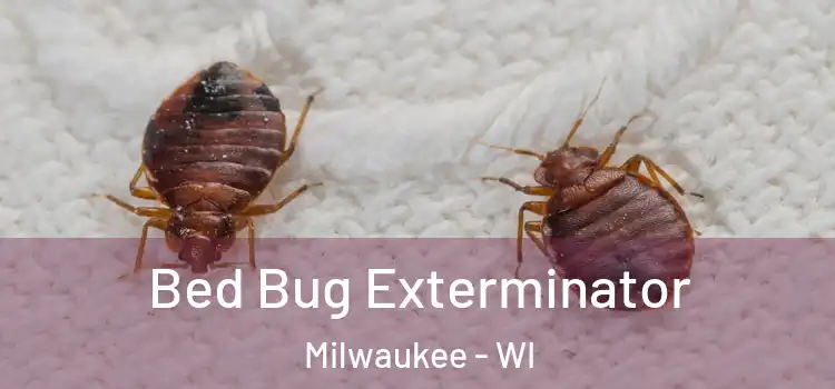 Bed Bug Exterminator Milwaukee - WI