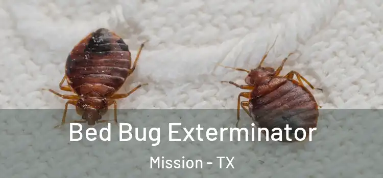  Bed Bug Exterminator Mission - TX