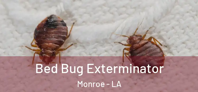 Bed Bug Exterminator Monroe - LA