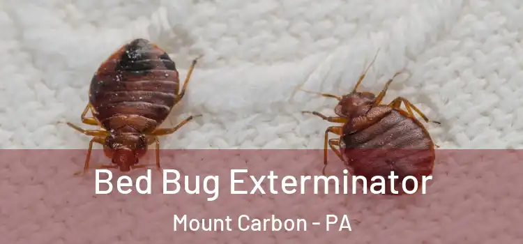  Bed Bug Exterminator Mount Carbon - PA