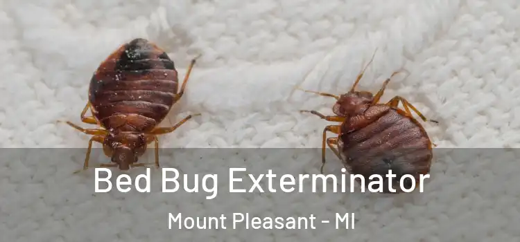  Bed Bug Exterminator Mount Pleasant - MI