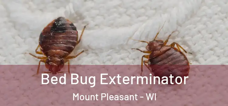  Bed Bug Exterminator Mount Pleasant - WI