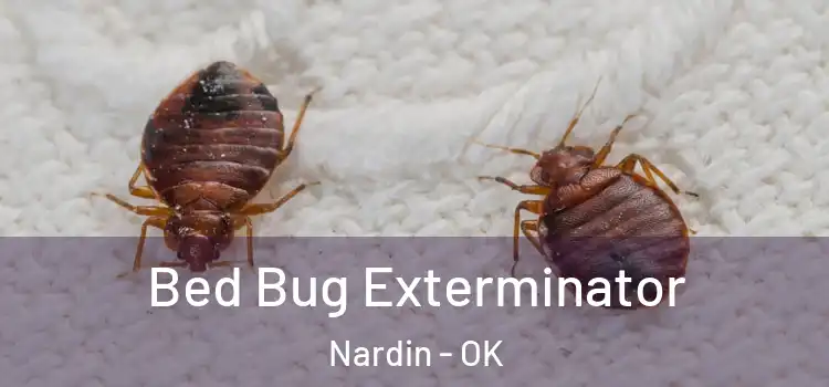  Bed Bug Exterminator Nardin - OK