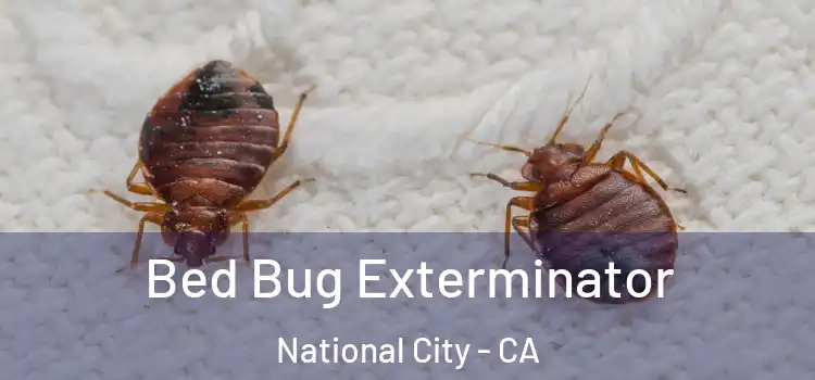 Bed Bug Exterminator National City - CA