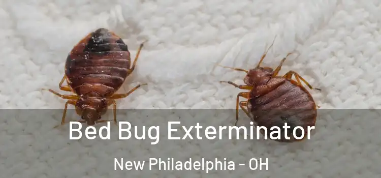  Bed Bug Exterminator New Philadelphia - OH