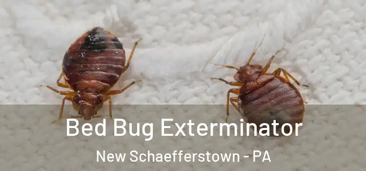 Bed Bug Exterminator New Schaefferstown - PA