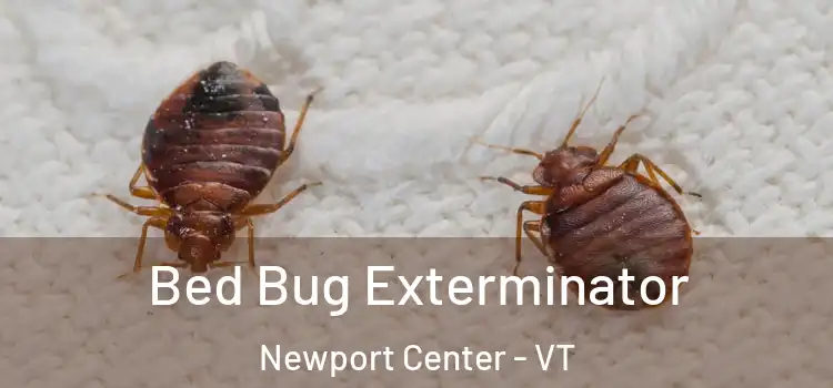  Bed Bug Exterminator Newport Center - VT