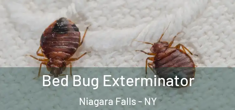  Bed Bug Exterminator Niagara Falls - NY