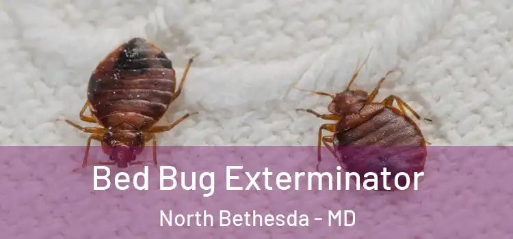  Bed Bug Exterminator North Bethesda - MD