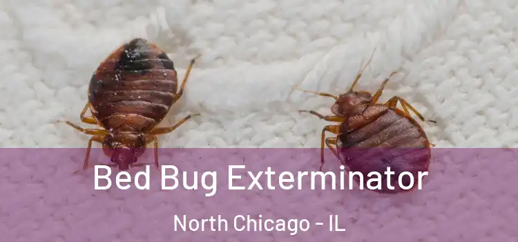  Bed Bug Exterminator North Chicago - IL