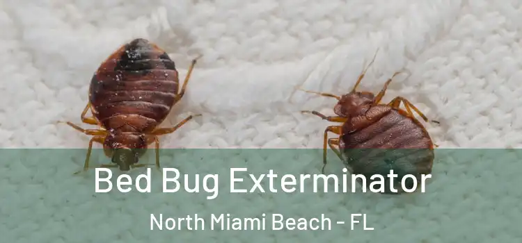  Bed Bug Exterminator North Miami Beach - FL